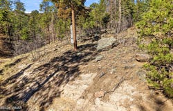 12 W Pergatory Drive, Alpine, AZ 85920