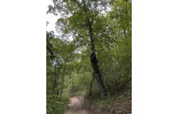 32 Arrow Ridge Rd, Damascus, AR 72031