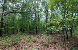N CAMP CREEK ROAD, Mammoth Spring, AR 72554