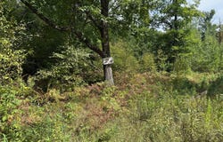 Edgewood Drive, Springbrook, WI 54875