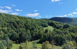 Finch Hollow Rd, Walton NY, NY 13856