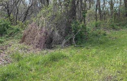 Rush Road, Carmichaels, PA 15320