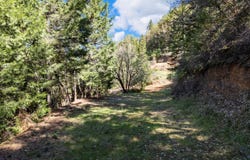 Frontage Road, Wolf Creek, OR 97497
