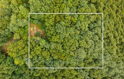 3177 N Silver Ridge Road, Mears, MI 49436