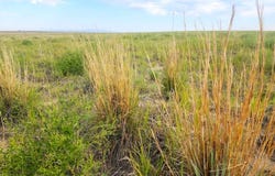 Boone Rd, Boone, CO 81025