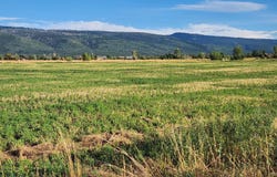 1753 FOXTAIL Drive, Driggs, ID 83422