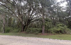 4 Carnochan Lane SE lot: 4, Darien, GA 31305