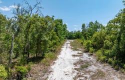 TBD CR 49, OBrien, FL 32071