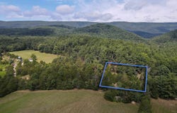 ALUM SPRINGS RD, BASYE, VA 22810