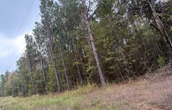 MC 35, Doddridge, AR 71834