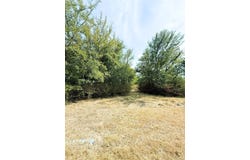 311 Harbor View, Point, TX 75472