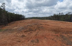 Young Loop, Fairmount, GA 30139