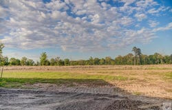 616 Miller County 226, Texarkana, AR 71854
