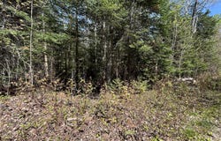 M17/L52-1 Stinchfield Road, Sandy River Plt, ME 04970