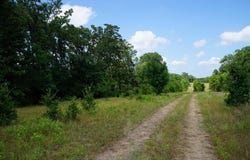 01 PR 5401, Malakoff, TX 75148