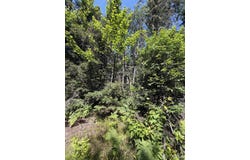 Red Road, Ishpeming, MI 49849