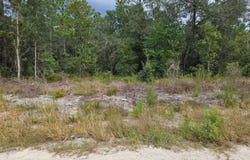 NE 67TH Street, BRONSON, FL 32621