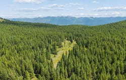 554 Pinkham Road, Rexford, MT 59930