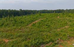 Haley Road lot: 17, Jackson, GA 30233