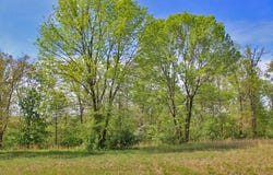 130 Lake Crest Drive, Somerset, KY 42503