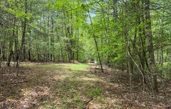 204 Grizzle Bear Lane, Suches, GA 30572