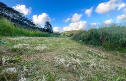 UILAMA PL, Kapaa, HI 96746