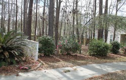 228 Comiskey Park Circle, Summerville, SC 29485