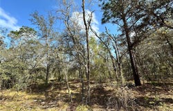 NE 68TH Place, BRONSON, FL 32621