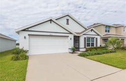 11933 DOWNY BIRCH Drive, RIVERVIEW, FL 33569