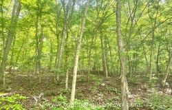 Big Pigeon Rd, Procious, WV 25164