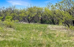 1116 County Road 107, Cisco, TX 76437