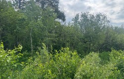 Quaal Road, Forbes, MN 55738