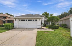 14458 Tamarind Loop, Spring Hill, FL 34609
