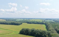 Beech Grove Road, Farmington, KY 42040