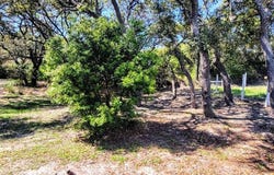 609 Huisache Ln., Ingleside, TX 78362