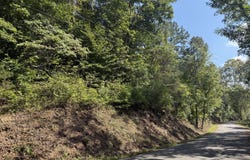Community Park Rd, Seymour, TN 37865