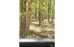 Colts Crossing Ln, Milton, FL 32570