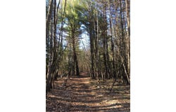 9 Halstein Lane, Ulster Park, NY 12487