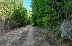 Old Country Trail, Dixfield, ME 04224
