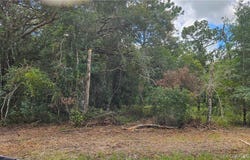 34030 Long Circle, Webster, FL 33597