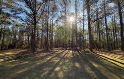 681 Highway 131, Eufaula, AL 36027