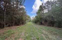 Vaniel Holmes Road, Tylertown, MS 39667