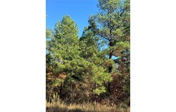 205 Bear Cedar Trail, Broken Bow, OK 74728