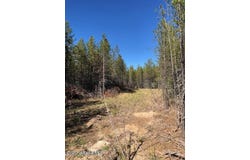 NKA Flintlock Way, Blanchard, ID 83804