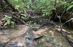 Dennis Cove Rd, Hampton, TN 37658