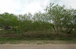 LOS RANCHITOS RD., SAN BENITO, TX 78586