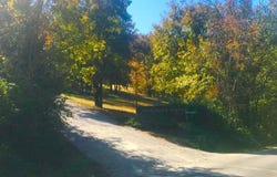Ance Acres Lane, Reeds Spring, MO 65737
