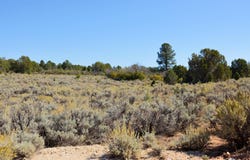2800 County Rd, Glendale, UT 84729