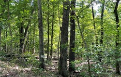 274 Oak Ridge Road, Bourbon, MO 65441