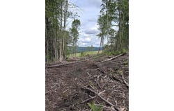 Davis Acres Road, Brookfield, VT 05060